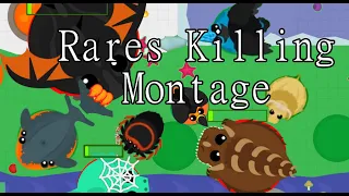 Rare Animals Montage/ Roams.io