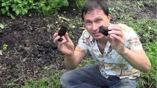 What is BioChar? How to Make & Why You shouldn't use Raw Biochar