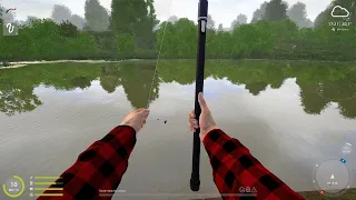 SC Gaming - Russian Fishing 4 Gameplay - Best Catch Of The Day - Carp Spot (No Commentary)