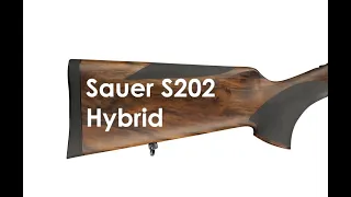Sauer (Заур) (Зауэр) S202 Hybrid - элегантная классика, рафинированная современность