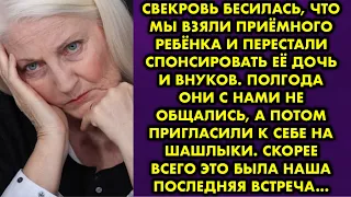 Свекровь бесилась, что мы взяли приёмного ребёнка и перестали спонсировать её дочь и внуков. Полгода