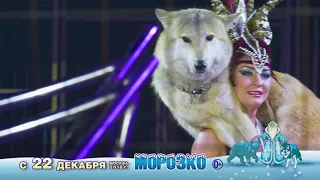 НОВОГОДНЕЕ ЦИРКОВОЕ ШОУ "МОРОЗКО" в УСК ЦСКА