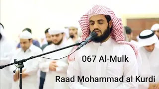 Raad Mohammad al Kurdi - Al-Mulk