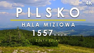 Pilsko, Hala Miziowa z Korbielowa, żółty szlak, Beskid Żywiecki, Góry Polskie