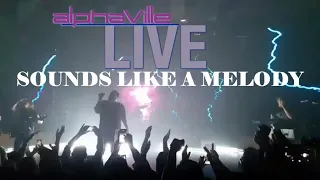 SOUNDS LIKE A MELODY 2021 ALPHAVILLE 4K LIVE IN TEL AVIV