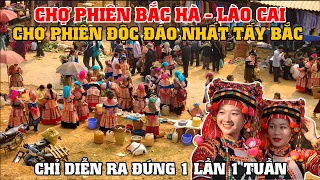 Khám Phá Chợ Phiên Bắc Hà Lào Cai - Chợ Phiên Độc Đáo Nhất Vùng Tây Bắc Nước Ta!!