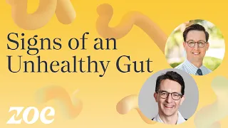 Signs of an Unhealthy Gut | Dr Will Bulsiewicz