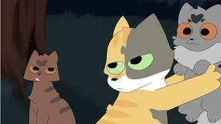 Tawnypelt Kidnaps a Boy