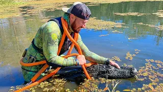 Removing 12ft Alligator From Backyard Pond!! (underwater capture) *extremely dangerous*