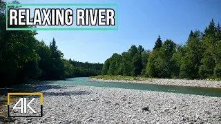 Beautiful Nature River flowing in Germany 4k. Relaxing River Sounds, Nature White Noise for Sleeping