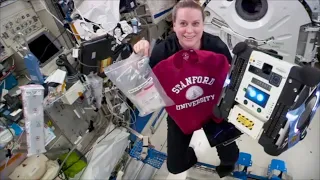 Stanford ‘gecko gripper’ tested on the International Space Station