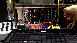 電気グルーヴ N.O. マシンライヴ / DIY TB-303 Eurorack module demo / Korg SQ-64