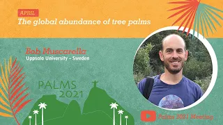 The global abundance of tree palms