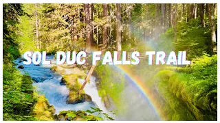 Unbelievable Nature Adventure Awaits at Sol Duc Falls Trail!