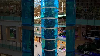 Самый высокий цилиндрический аквариум в мире . ТРЦ - Авиапарк #москва #аквариум #авиапарк