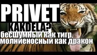 PRIVET KAKDELA?:[БЕСШУМНЫЙ КАК ТИГР, МОЛНИЕНОСНЫЙ КАК ДРАКОН]