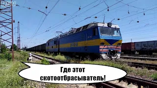 Что означает СКОТООТБОЙНИК! Вагонник. Железная дорога.