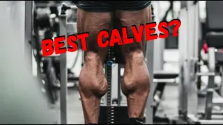 The Best Calves In Bodybuilding *2024*