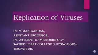 Replication of Viruses (steps and processes)