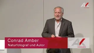 Conrad Amber: Bäume auf die Dächer – Wälder in die Stadt