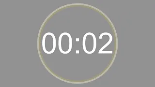 2 SECONDS - 4K - COUNTDOWN IN REVERSE - SECOND TIMER -