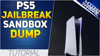 PS5 Jailbreak Progress Updates & PS5 Sandbox Dump Guide