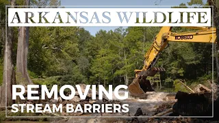 Removing Stream Barriers Across Arkansas