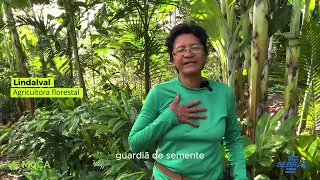 Escola MuCA Agroflorestal - Banco de Sementes