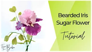 Sugar Flower Bearded Iris Tutorial ⎸ CakeTopper Flowers! ⎸ How to make Cake Flowers