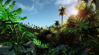 Звуки Природы / Тропический лес, Окенариум