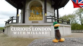 Curious London (With Millard): The Battersea Park Peace Pagoda! #BATTERSEAPARK