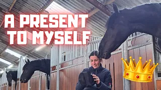 A present to myself. Thanks to you! I'm so happy after this s*** day!! | Friesian Horses