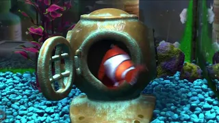 Немо в аквариуме ... отрывок из мультфильма (В поисках Немо/Finding Nemo)2003