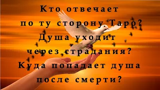 Кто отвечает по ту сторону Таро? Как и куда уходит душа после смерти физического тела?