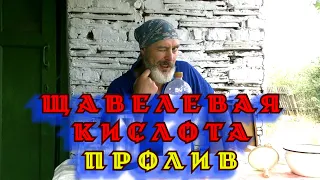 ЩАВЕЛЕВАЯ КИСЛОТА, ОБРАБОТКА ПЧЕЛ ОТ КЛЕЩА ПРОЛИВОМ.