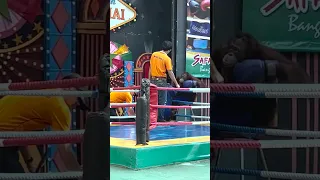 Orangutan Boxing Training in Thailand (Please Read Description)