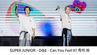 SUPER JUNIOR - D&E - Can You Feel It? 촉이 와  ( 20240324 高雄櫻花季 SAKURA FESTIVAL ) ｜4K