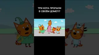 ТРИ КОТА ПРОПАЛИ В СВОЁМ ДОМЕ?!?