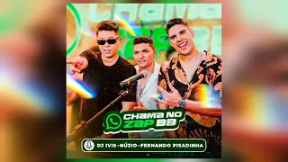 CHAMA NO ZAP BB - DJ Ivis, Núzio Medeiros e Fernando Pisadinha