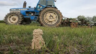 Ford TW25 Popping a Wheelie Chisel Plowing