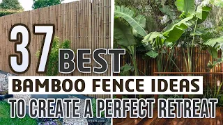 37 Best Bamboo Fence Ideas To Create A Perfect Retreat
