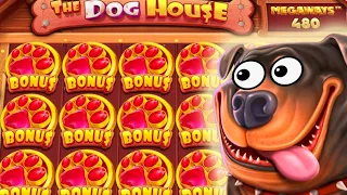 БОНУСКИ В DOG HOUSE ЛЕТЯТ ТОЛЬКО ТАК! ЗАНОСЫ НЕДЕЛИ