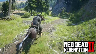 Red Dead Redemption 2 - Horseman Challenge 9