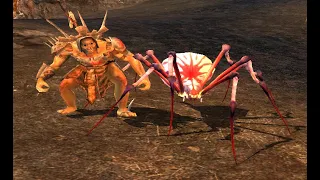 LOTRO PVMP GEL Reaver-Spider (Before U39)