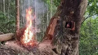 Building Complete Survival shelter inside a million year old tree, overnight, fireplace