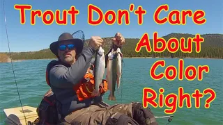 Lure Color Matters For Trout & Salmon!