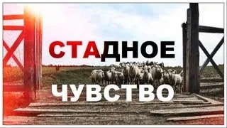 Галилео. Стадное чувство