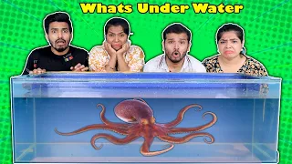 Extreme What's Under Water Challenge | Hungry Birds