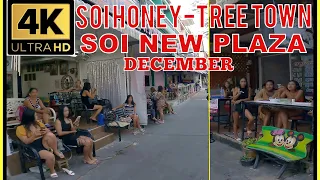 Pattaya Soi Honey(11)  Soi 9 (Tree Town) Soi New Plaza - December Thailand 4K Ultra HD