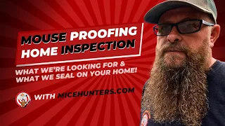 Mouse Proofing: A Detailed Inspection Guide to Securing Your Home from Mice Infestation